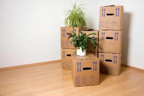 cartons de déménagement
